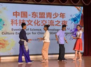 一带一路共舞风华 东盟青少年夜梧州展现民族情